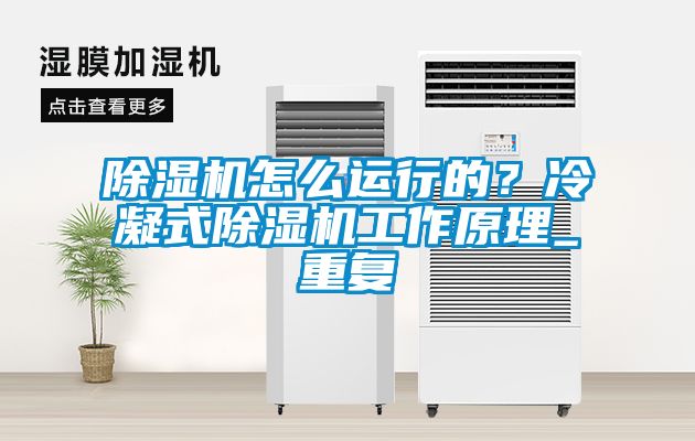 除濕機怎么運行的？冷凝式除濕機工作原理_重復