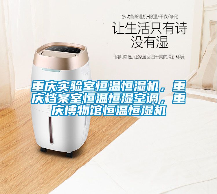 重慶實驗室恒溫恒濕機(jī)，重慶檔案室恒溫恒濕空調(diào)，重慶博物館恒溫恒濕機(jī)