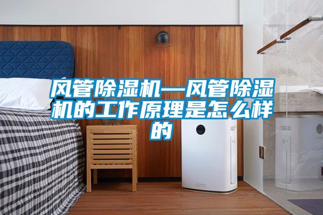 風(fēng)管除濕機—風(fēng)管除濕機的工作原理是怎么樣的
