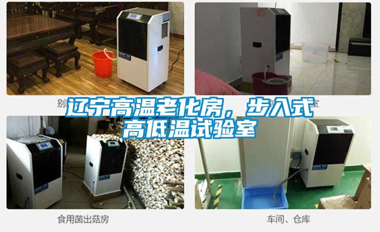 遼寧高溫老化房，步入式高低溫試驗室