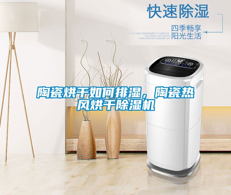 陶瓷烘干如何排濕，陶瓷熱風(fēng)烘干除濕機(jī)