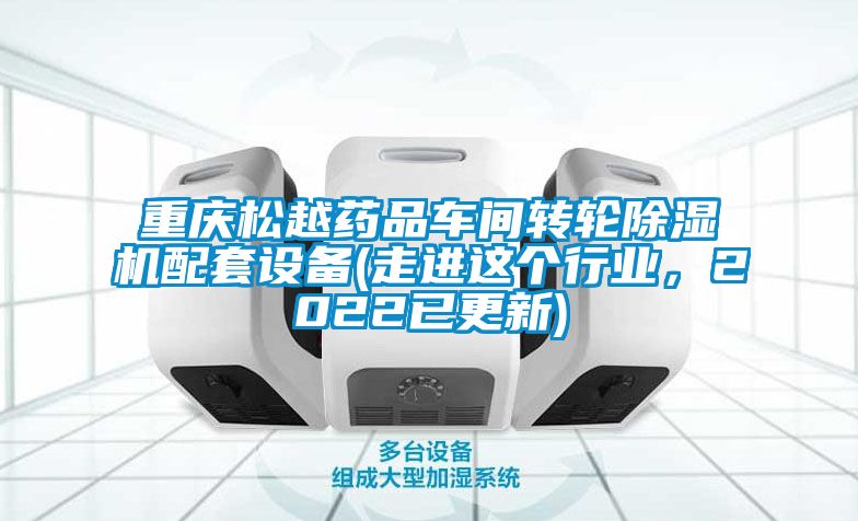 重慶松越藥品車(chē)間轉(zhuǎn)輪除濕機(jī)配套設(shè)備(走進(jìn)這個(gè)行業(yè)，2022已更新)