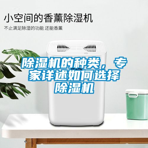 除濕機的種類，專家詳述如何選擇除濕機