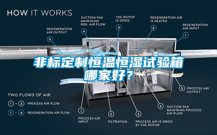 非標定制恒溫恒濕試驗箱哪家好？