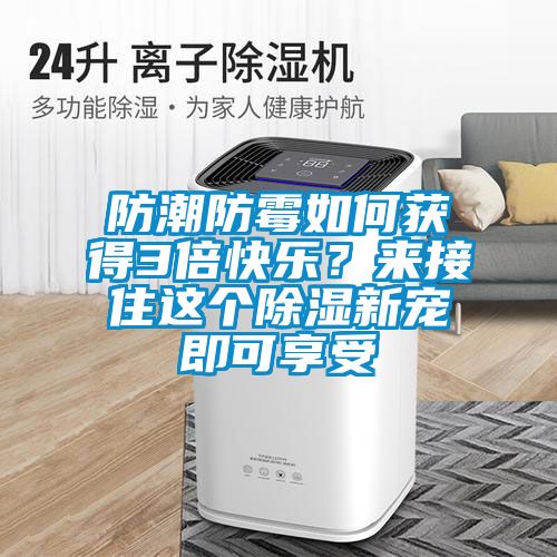 防潮防霉如何獲得3倍快樂？來接住這個除濕新寵即可享受