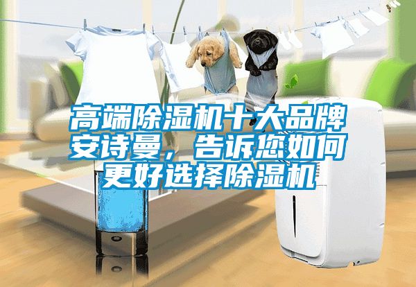 高端除濕機十大品牌安詩曼，告訴您如何更好選擇除濕機