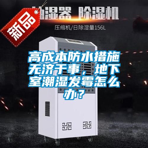 高成本防水措施無濟于事，地下室潮濕發霉怎么辦？