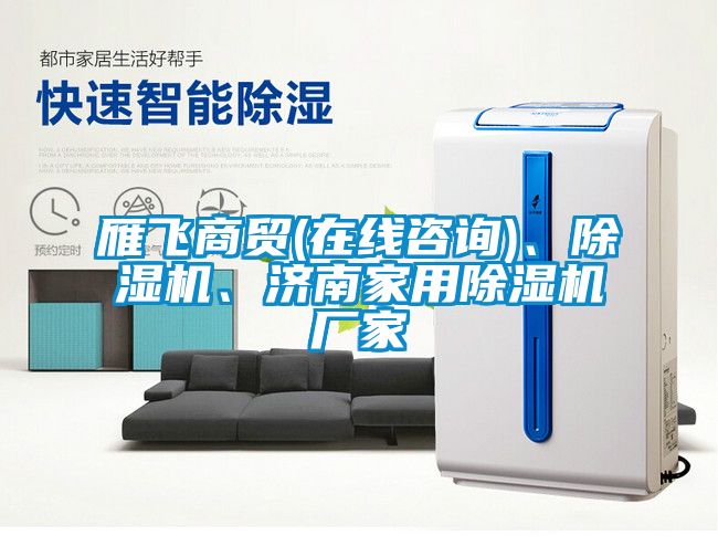 雁飛商貿(mào)(在線咨詢)、除濕機(jī)、濟(jì)南家用除濕機(jī)廠家