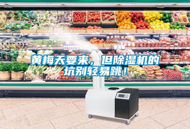 黃梅天要來，但除濕機的坑別輕易跳！