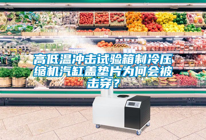 高低溫沖擊試驗箱制冷壓縮機汽缸蓋墊片為何會被擊穿？