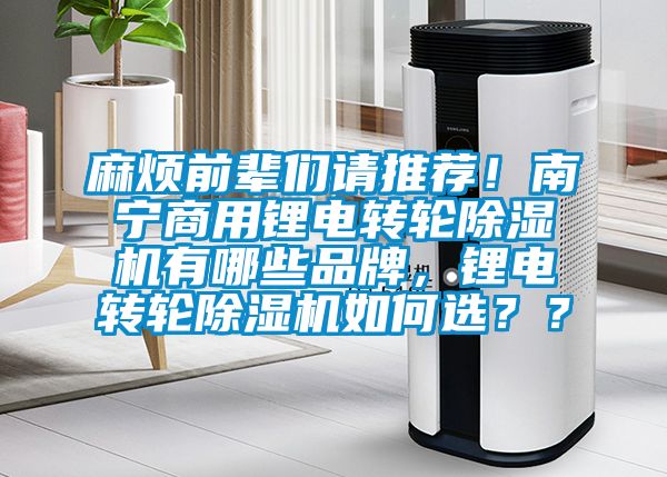 麻煩前輩們請推薦！南寧商用鋰電轉(zhuǎn)輪除濕機有哪些品牌，鋰電轉(zhuǎn)輪除濕機如何選？？