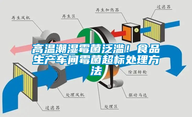 高溫潮濕霉菌泛濫！食品生產車間霉菌超標處理方法