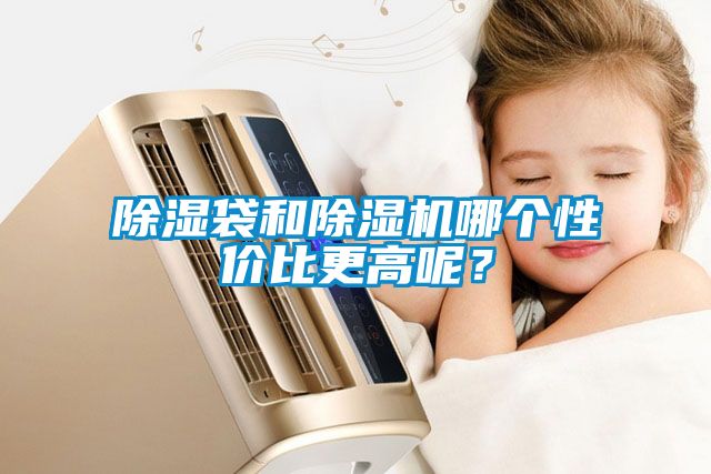 除濕袋和除濕機哪個性價比更高呢？