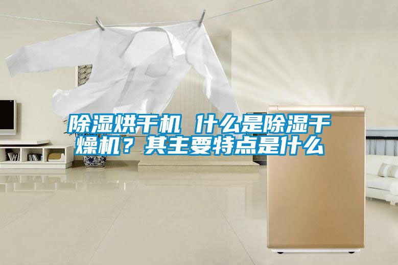 除濕烘干機 什么是除濕干燥機？其主要特點是什么